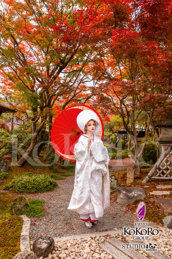 狐の嫁入り　庭園撮影