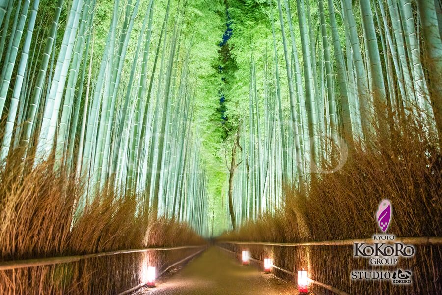 京都嵐山観光情報