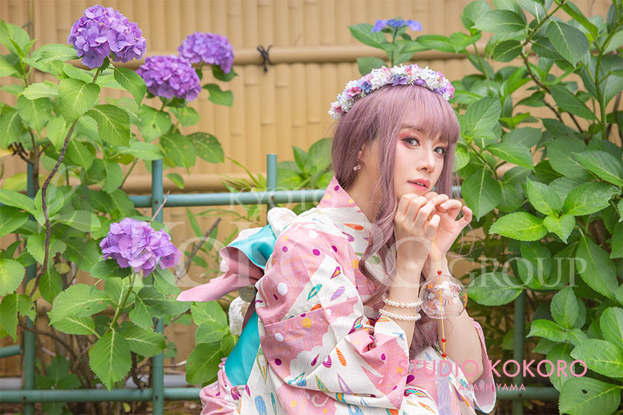 KOKOHIME 紫陽花