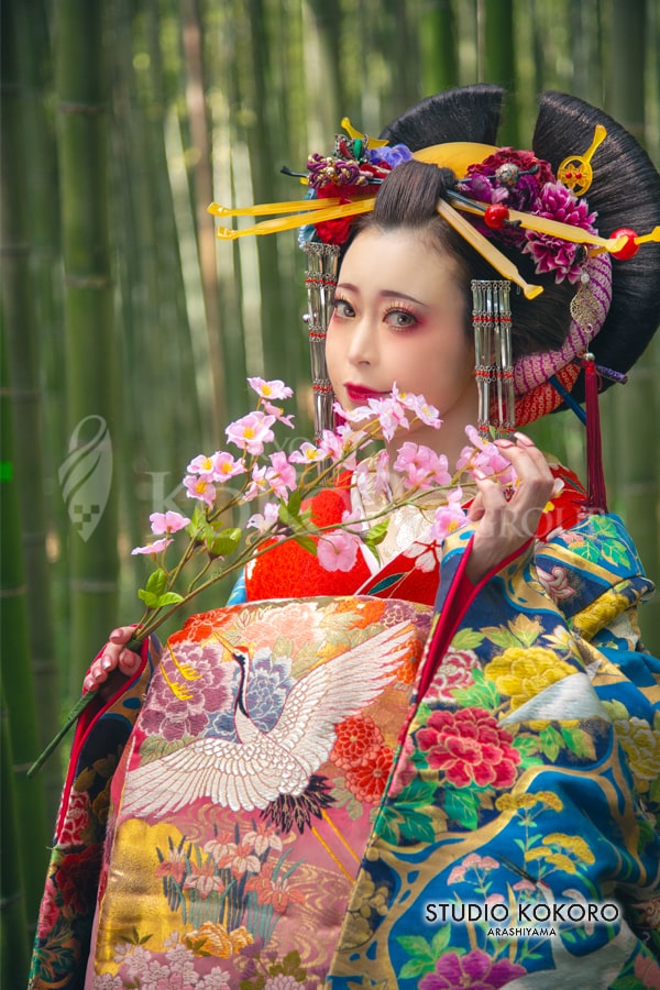 嵐山　変身体験　口コミ