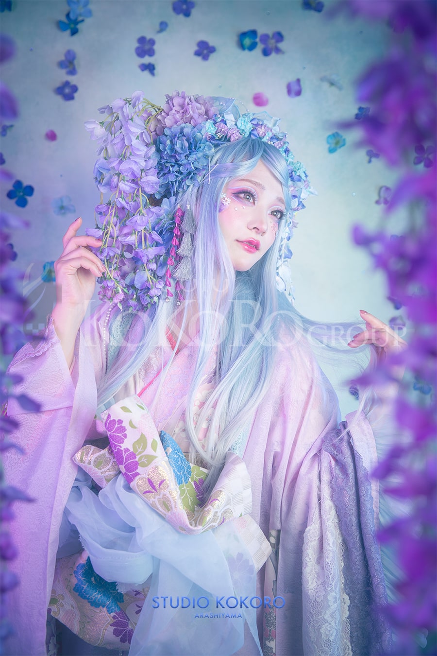 紫陽花撮影　京都