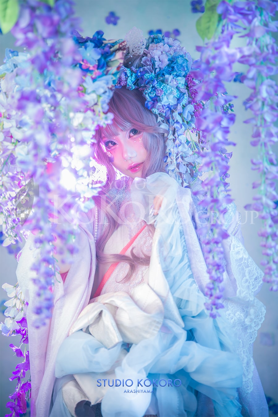 紫陽花撮影　京都