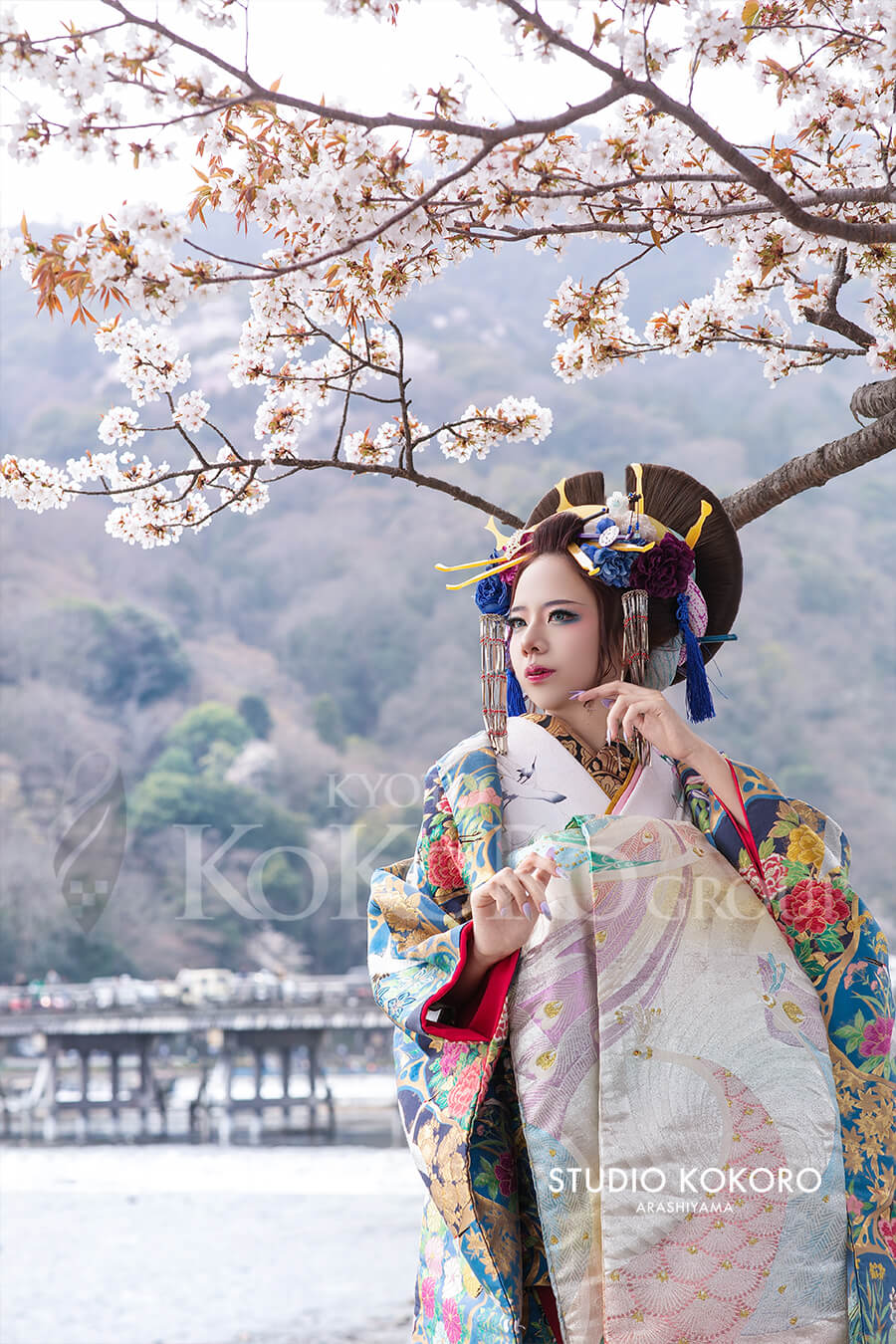 花魁桜オプション